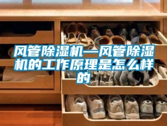 行業(yè)新聞風管除濕機—風管除濕機的工作原理是怎么樣的