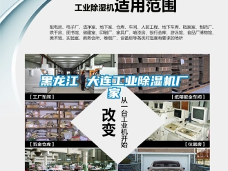 企業(yè)新聞黑龍江 大連工業(yè)除濕機(jī)廠家