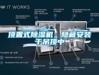 行業(yè)新聞頂置式除濕機(jī)，隱藏安裝于吊頂中