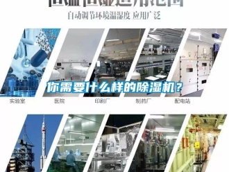 行業(yè)新聞你需要什么樣的除濕機？