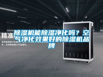 企業(yè)新聞除濕機(jī)能除濕凈化嗎？空氣凈化效果好的除濕機(jī)品牌