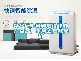 企業(yè)新聞食品廠車間潮濕該咋辦？食品廠車間去濕除濕機