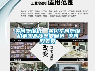 企業(yè)新聞黃岡除濕機  黃岡車間除濕機金剛品質濕菱制造 返回列表頁